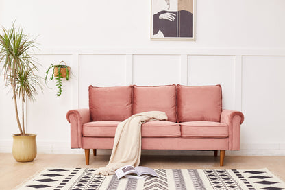Graceful Design Plush Comfort Sofa