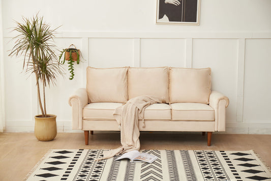 Graceful Design Comfort Sofa