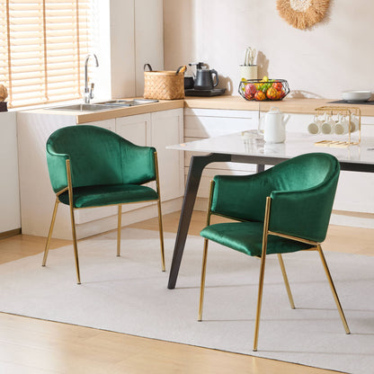 Modern Upholstered Dining Chair With Frame And